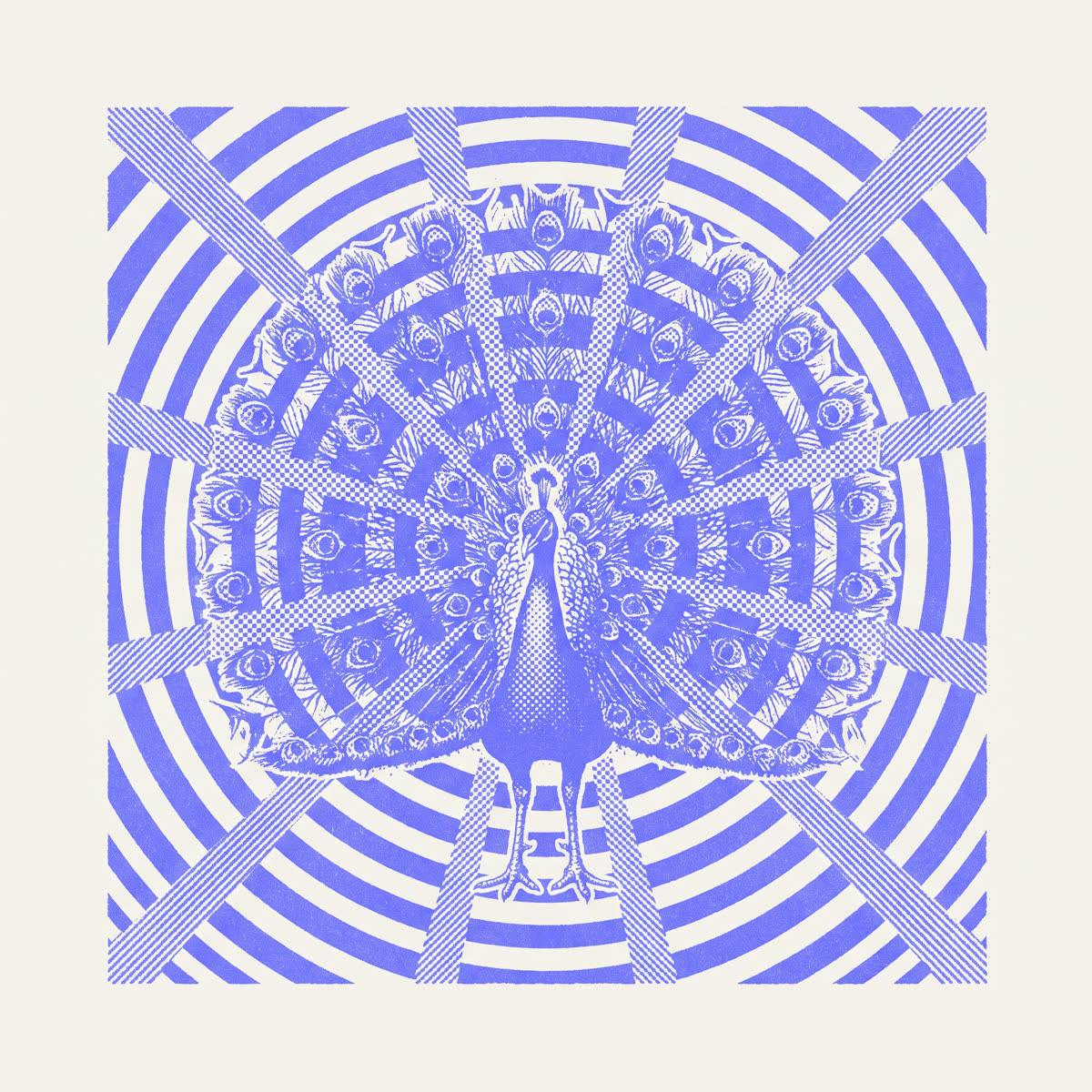 Halftone illustration — a peacock with a fully fanned kaleidoscopic tail.